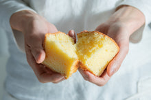 画像をギャラリービューアに読み込む, &chiffon Box